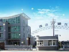 陕西德仕汽车部件（集团）有限责任公